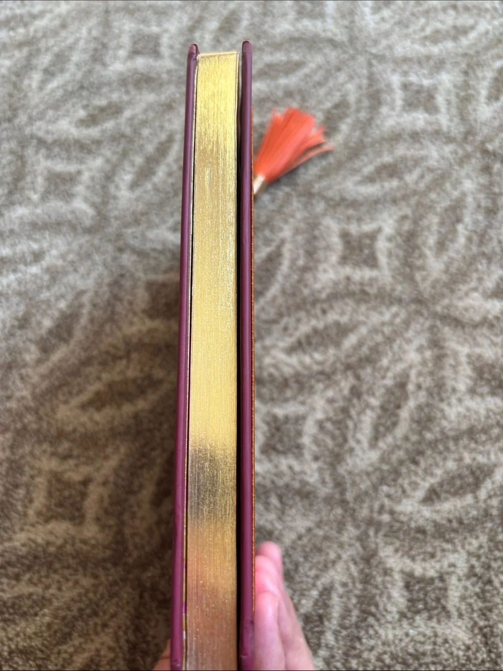 Opalhouse notebook bold
